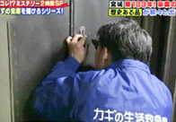 世界の何だコレ!?｜ミステリーフジテレビのキャプチャ